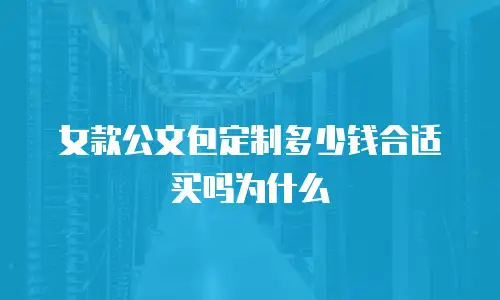 女款公文包定制多少钱合适买吗为什么