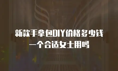 新款手拿包DIY价格多少钱一个合适女士用吗