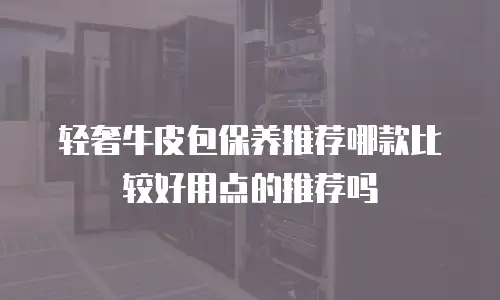 轻奢牛皮包保养推荐哪款比较好用点的推荐吗
