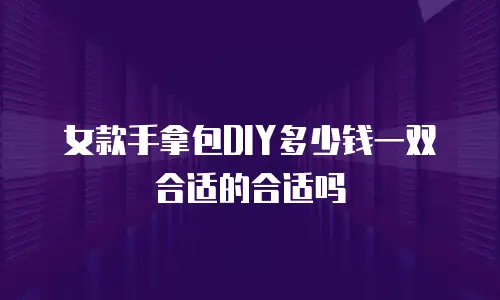 女款手拿包DIY多少钱一双合适的合适吗
