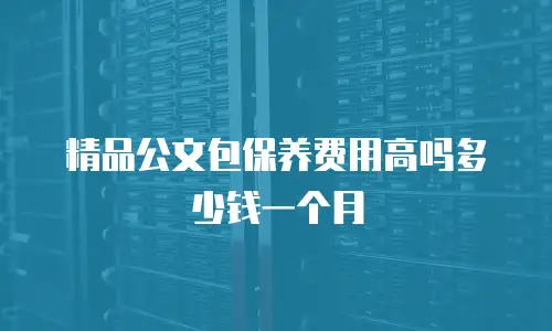 精品公文包保养费用高吗多少钱一个月