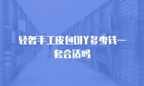 轻奢手工皮包DIY多少钱一套合适吗