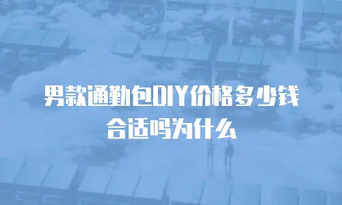 男款通勤包DIY价格多少钱合适吗为什么