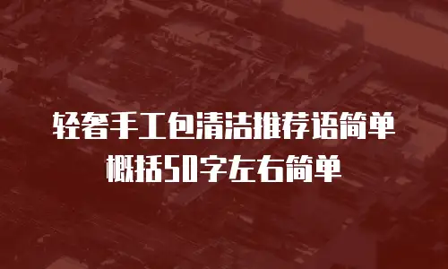 轻奢手工包清洁推荐语简单概括50字左右简单