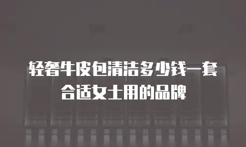 轻奢牛皮包清洁多少钱一套合适女士用的品牌