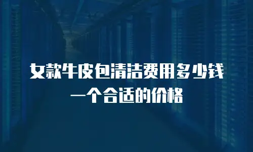 女款牛皮包清洁费用多少钱一个合适的价格