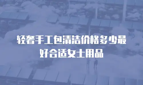 轻奢手工包清洁价格多少最好合适女士用品