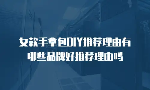 女款手拿包DIY推荐理由有哪些品牌好推荐理由吗