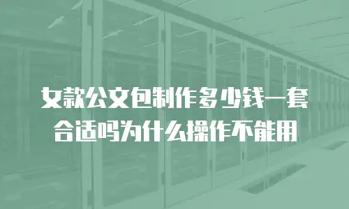 女款公文包制作多少钱一套合适吗为什么操作不能用