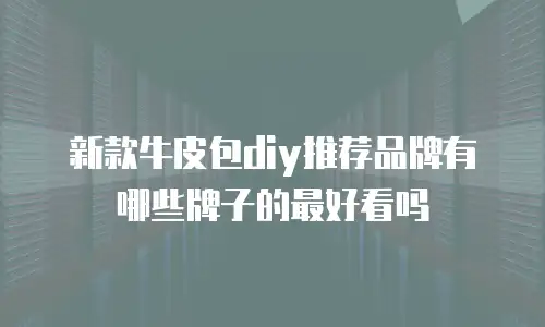 新款牛皮包diy推荐品牌有哪些牌子的最好看吗