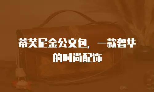 蒂芙尼金公文包，一款奢华的时尚配饰