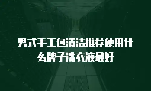 男式手工包清洁推荐使用什么牌子洗衣液最好