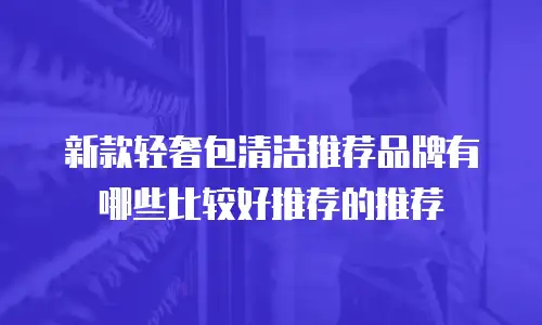 新款轻奢包清洁推荐品牌有哪些比较好推荐的推荐