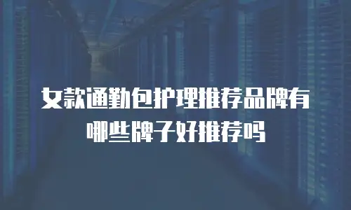 女款通勤包护理推荐品牌有哪些牌子好推荐吗