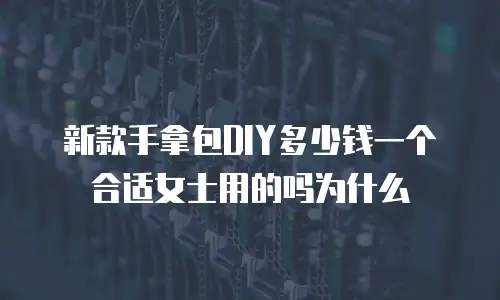 新款手拿包DIY多少钱一个合适女士用的吗为什么