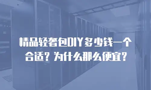 精品轻奢包DIY多少钱一个合适？为什么那么便宜？