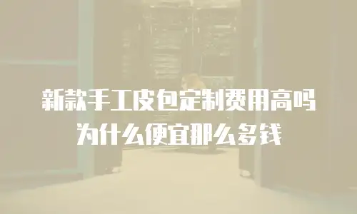 新款手工皮包定制费用高吗为什么便宜那么多钱