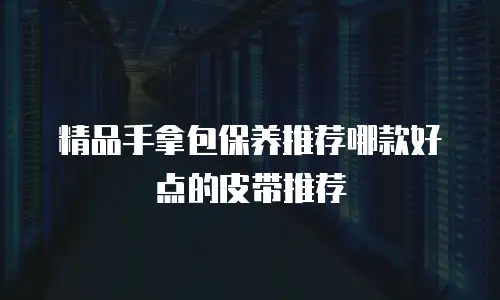 精品手拿包保养推荐哪款好点的皮带推荐