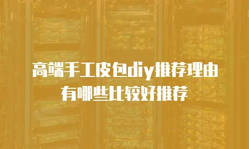 高端手工皮包diy推荐理由有哪些比较好推荐