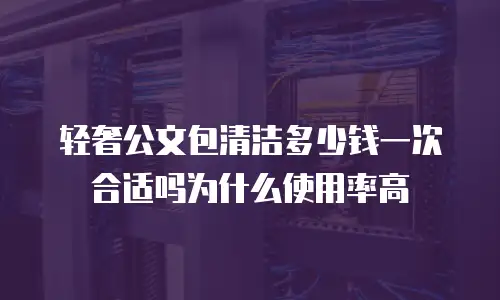轻奢公文包清洁多少钱一次合适吗为什么使用率高