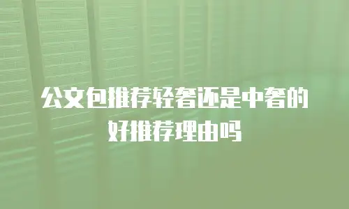 公文包推荐轻奢还是中奢的好推荐理由吗