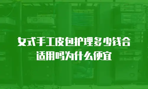 女式手工皮包护理多少钱合适用吗为什么便宜