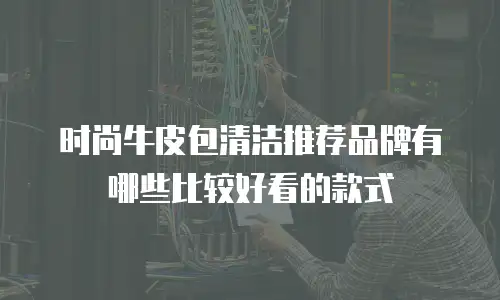 时尚牛皮包清洁推荐品牌有哪些比较好看的款式