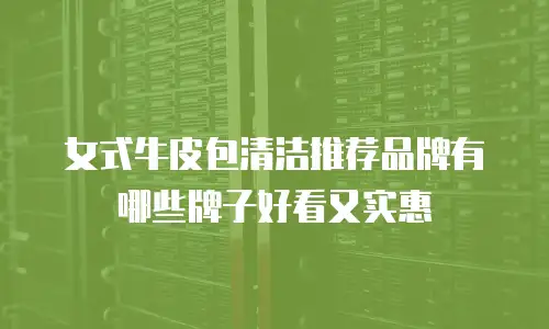 女式牛皮包清洁推荐品牌有哪些牌子好看又实惠