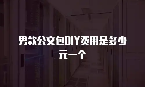 男款公文包DIY费用是多少元一个