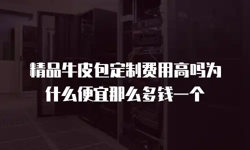 精品牛皮包定制费用高吗为什么便宜那么多钱一个
