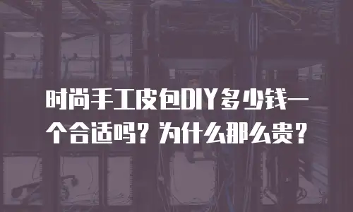 时尚手工皮包DIY多少钱一个合适吗？为什么那么贵？