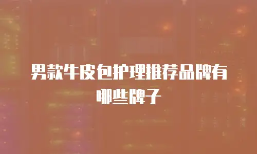 男款牛皮包护理推荐品牌有哪些牌子