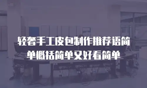 轻奢手工皮包制作推荐语简单概括简单又好看简单