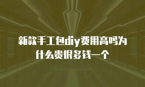 新款手工包diy费用高吗为什么贵很多钱一个