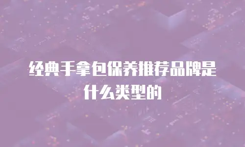 经典手拿包保养推荐品牌是什么类型的