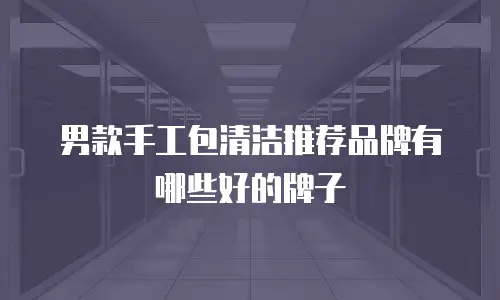 男款手工包清洁推荐品牌有哪些好的牌子