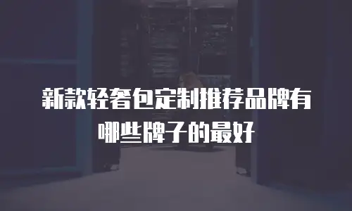 新款轻奢包定制推荐品牌有哪些牌子的最好