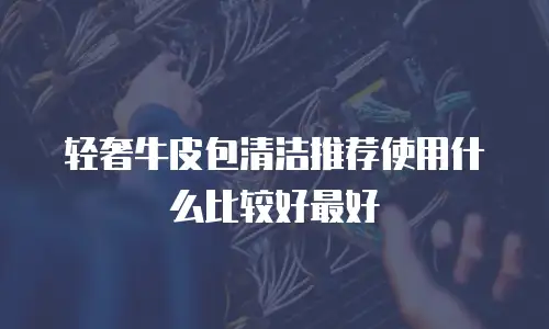 轻奢牛皮包清洁推荐使用什么比较好最好