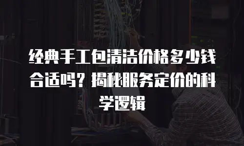 经典手工包清洁价格多少钱合适吗？揭秘服务定价的科学逻辑