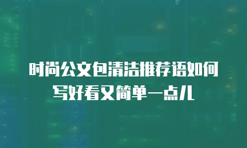 时尚公文包清洁推荐语如何写好看又简单一点儿