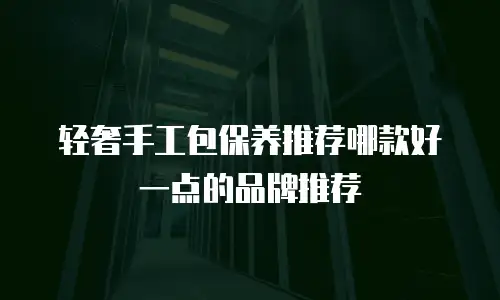 轻奢手工包保养推荐哪款好一点的品牌推荐