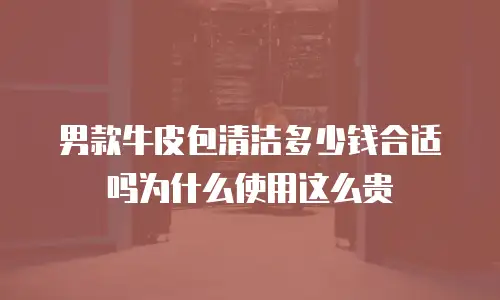 男款牛皮包清洁多少钱合适吗为什么使用这么贵
