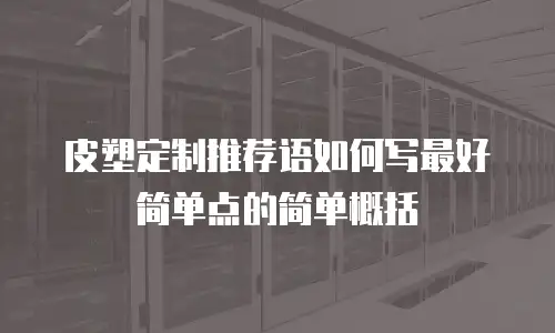 皮塑定制推荐语如何写最好简单点的简单概括