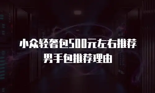 小众轻奢包500元左右推荐男手包推荐理由