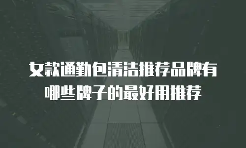 女款通勤包清洁推荐品牌有哪些牌子的最好用推荐
