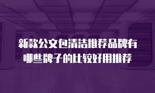 新款公文包清洁推荐品牌有哪些牌子的比较好用推荐
