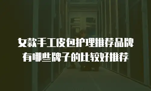 女款手工皮包护理推荐品牌有哪些牌子的比较好推荐