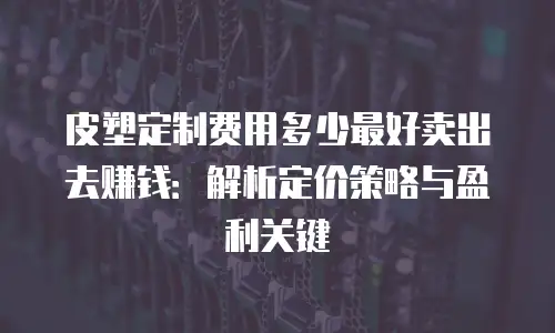 皮塑定制费用多少最好卖出去赚钱：解析定价策略与盈利关键