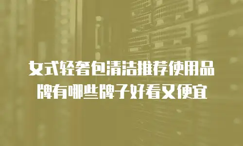 女式轻奢包清洁推荐使用品牌有哪些牌子好看又便宜