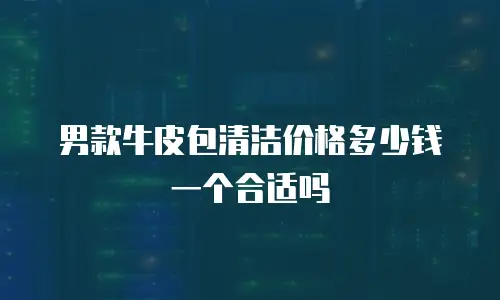 男款牛皮包清洁价格多少钱一个合适吗